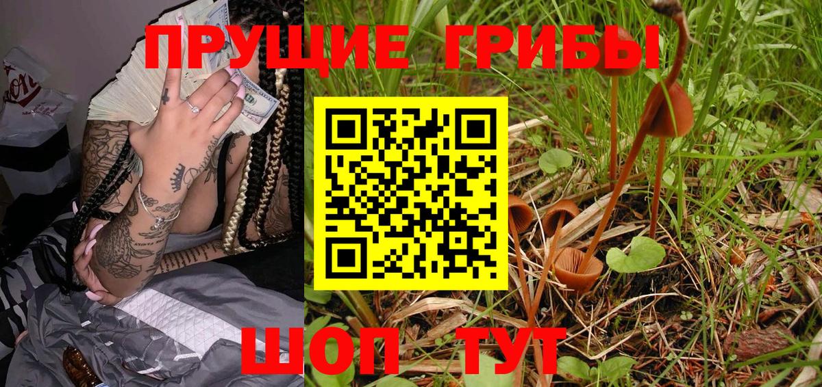 Псилоцибиновые грибы Cubensis  Вход с VPN  Верхний Уфалей 